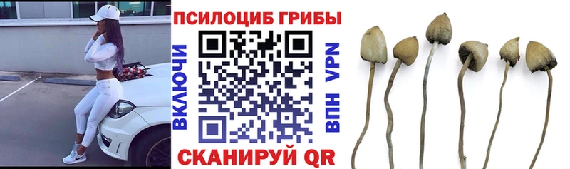 Псилоцибиновые грибы мухоморы  где продают наркотики  omg сайт  Мариинск 